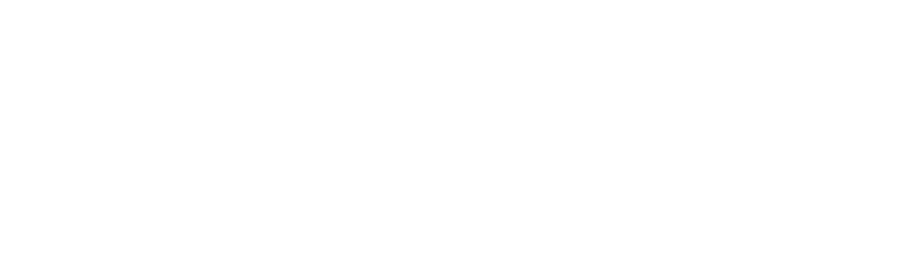 BRAVELOGIS